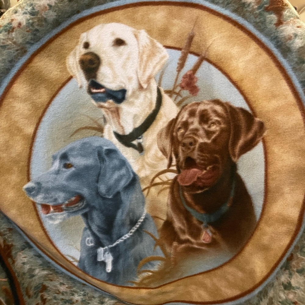 Homemade Dog Blanket